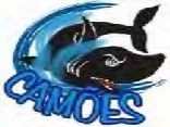 Os Camões