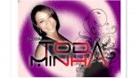 Toda Minha