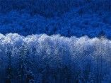Dj Hugo..