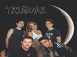 Tribuai