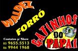 gatinhos do papai