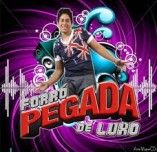 Banda Forró Pegada De Luxo