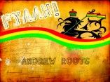 ANDREW ROOTS