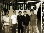 Jurubeba'S