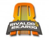 Rivaldo e Ricardo