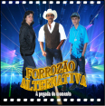 Forrozão Alternativa