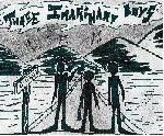 Three Imaginary Boys