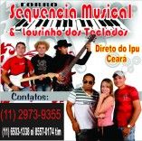SEQUENCIA MUSICAL