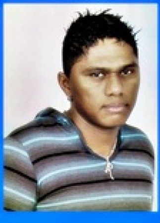 azulaodoforro