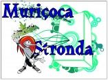 Muriçoca Stronda