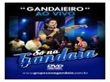 Só Na Gandaia