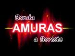 Amuras a Boreste