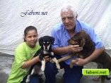 fabeni.net