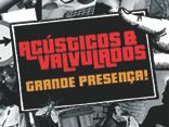 Acústicos & Valvulados