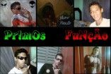 primos função