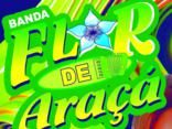 Banda Flor de Araçá
