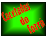 Cacetadas do Forró