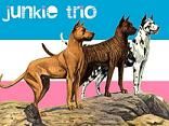 JunkieTrio