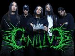 Canilive