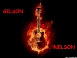 Gilson & Nelson