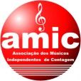 AMIC
