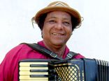 Raminho do Acordeon