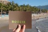 Woozie
