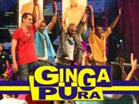 GRUPO GINGA PURA