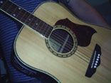 Compositor Profissional