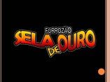 forrozão sela de ouro
