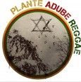 PLANTEADUBEREGGAE