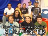 Fundição Sonora e Poética Flor de Cactus