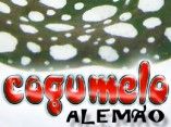 Cogumelo Alemão