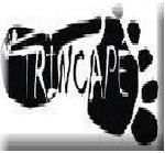 Trio TrincaPé