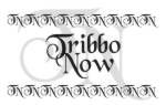 Tribbo Now