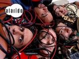 Alarido