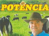 POTÊNCIA FORRÓ  E TOADA