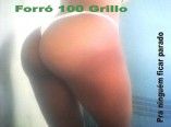 Forró 100 Grillo