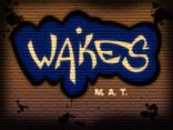 Wakes