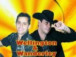 wellington e wanderley