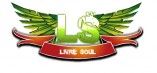 Livre Soul