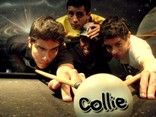 Collie
