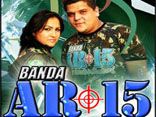 Banda AR-15