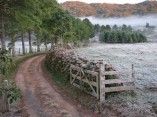 COUNTRYX