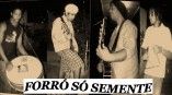 forró só semente