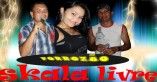 skala livre