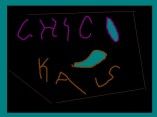 chico kaos