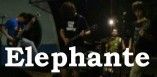 Elephante