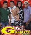 Forró Gengibre Com Mel