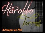 haroldo torres